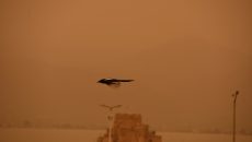 Καιρός: Η αφρικανική σκόνη «πνίγει» την Κρήτη, πότε θα απομακρυνθεί – Μέτρα προστασίας για τους πολίτες