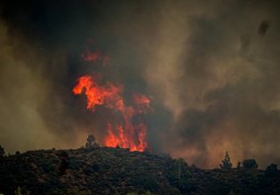 Ρόδος: Υπό έλεγχο η φωτιά – Η Πυροσβεστική παραμένει στο σημείο για τυχόν αναζωπυρώσεις