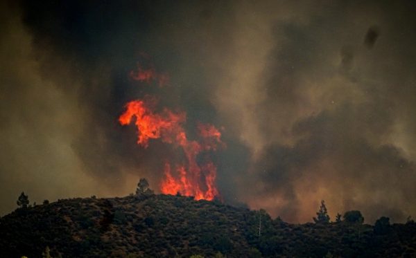 Ρόδος: Υπό έλεγχο η φωτιά - Η Πυροσβεστική παραμένει στο σημείο για τυχόν αναζωπυρώσεις