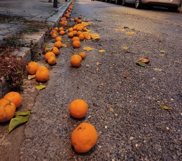 Το κόλπο των ληστών με τα πορτοκάλια