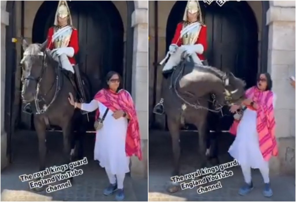 Μπάκιγχαμ: Άλογο της βασιλικής φρουράς «τιμώρησε» τουρίστρια που ήθελε να φωτογραφηθεί μαζί του