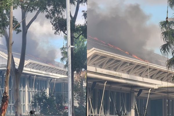 Σίδνεϊ: Ηλιακά πάνελ σε κολυμβητήριο τυλίχθηκαν στις φλόγες – Απομακρύνθηκαν χιλιάδες παιδιά