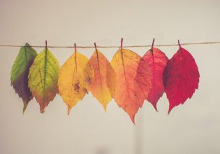 Greenwashing: Έρμαια της παραπληροφόρησης οι καταναλωτές