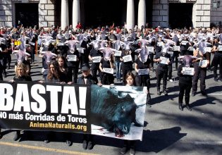 Απαγορεύτηκαν οι ταυρομαχίες στην Κολομβία