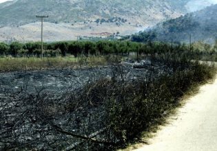 Οι περιοχές της Περιφέρειας Δ. Ελλάδας που θα απαγορεύεται η κυκλοφορία τις ημέρες υψηλού κινδύνου πυρκαγιάς
