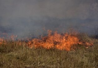 Φωτιά τώρα στην περιφερειακή του Αιγάλεω – Σηκώθηκε και ελικόπτερο