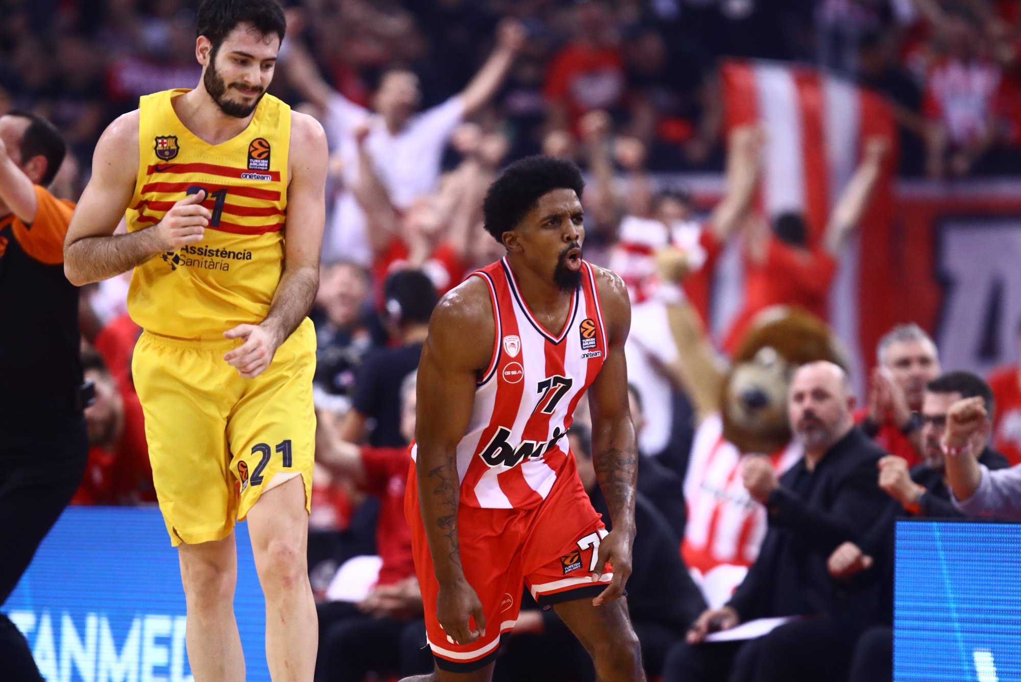 Τα «λιοντάρια»… θύμωσαν