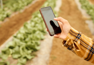 Νέα εργαλεία στο gov.gr για την αγροτική επιχειρηματικότητα – Ποιες υπηρεσίες παρέχονται