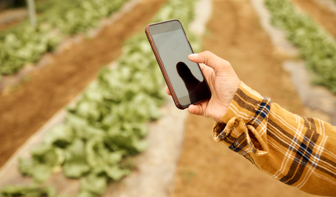 Νέα εργαλεία στο gov.gr για την αγροτική επιχειρηματικότητα – Ποιες υπηρεσίες παρέχονται