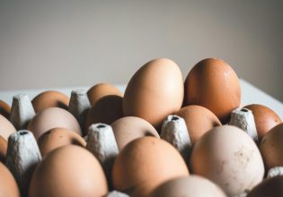 Για όλα φταίει… η κότα – Γιατί τα καφέ αβγά είναι πιο ακριβά από τα άσπρα