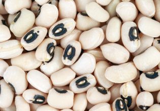 Καρκίνος: Ιός της…. φασολιάς εναντίον των μεταστάσεων