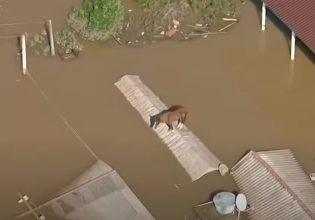 Βραζιλία: Διασώστες έσωσαν ένα άλογο από τη στέγη σπιτιού σε μια πλημμυρισμένη πόλη