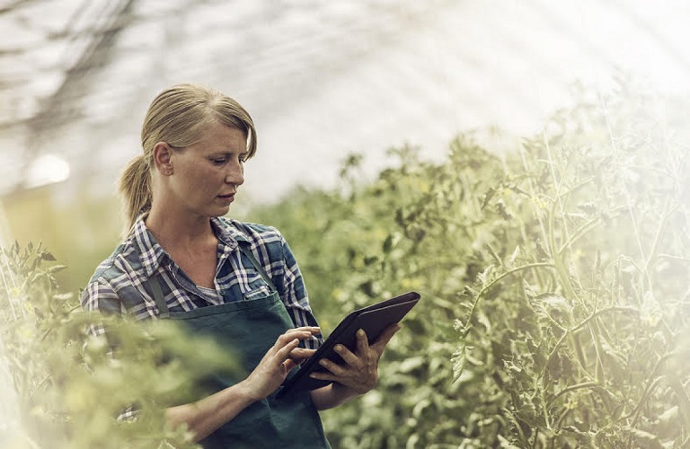 ΕΕ: Νέο διαδραστικό εργαλείο για αγρότες με πληροφορίες για τη βιωσιμότητα στη γεωργία