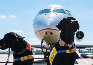 Αυτή η αεροπορική εταιρεία θέλει όλα τα σκυλιά να πετούν στην πρώτη θέση