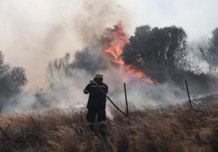 Αργολίδα: Φωτιά σε δασική έκταση κοντά στον οικισμό Προσύμνη