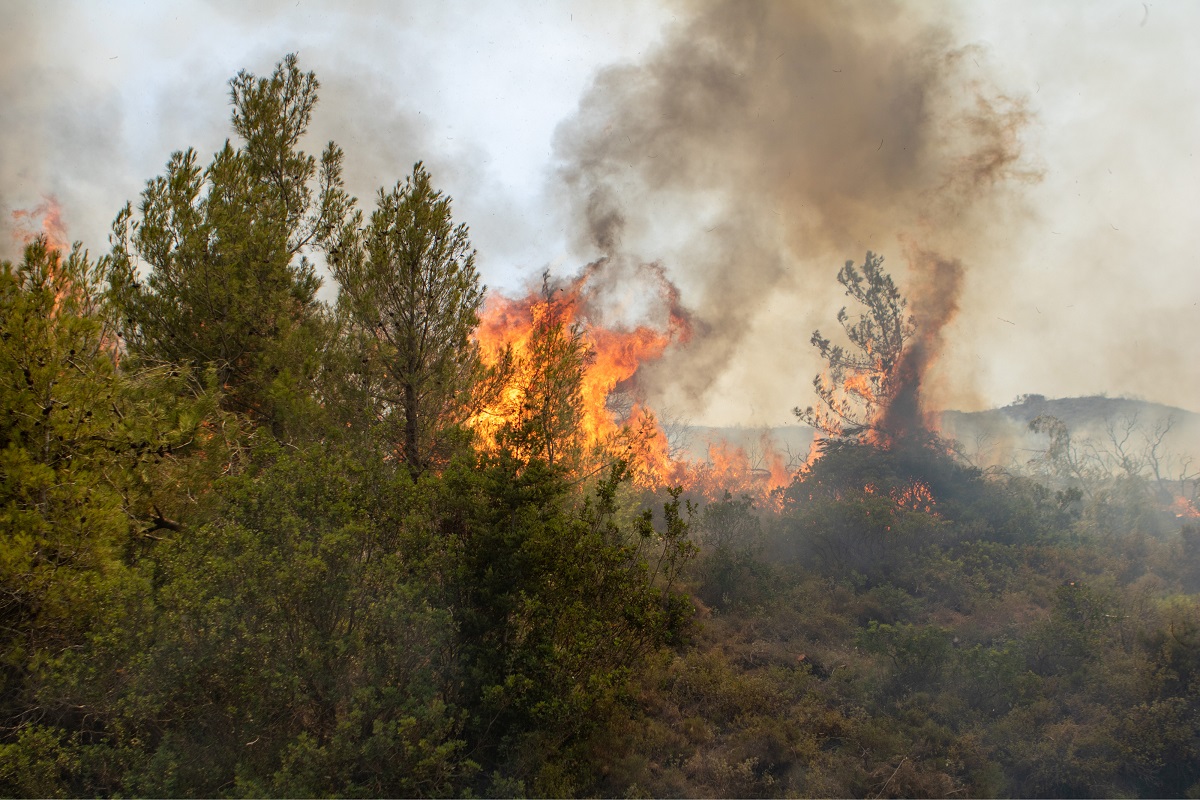 Φωτιά σε χαμηλή βλάστηση στον Ασπρόπυργο – Μεγάλη κινητοποίηση της Πυροσβεστικής