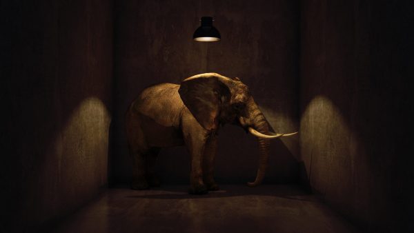 Τον «ελέφαντα στο δωμάτιο» δεν περιμέναμε τον πρωθυπουργό για να τον δούμε. Το θέμα είναι κάποιος να τον βγάλει έξω