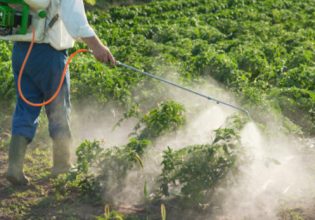 Ηλεία: Πέθανε 66χρονος που εισέπνευσε φυτοφάρμακο κατά διάρκεια ραντίσματος στη Γαστούνη