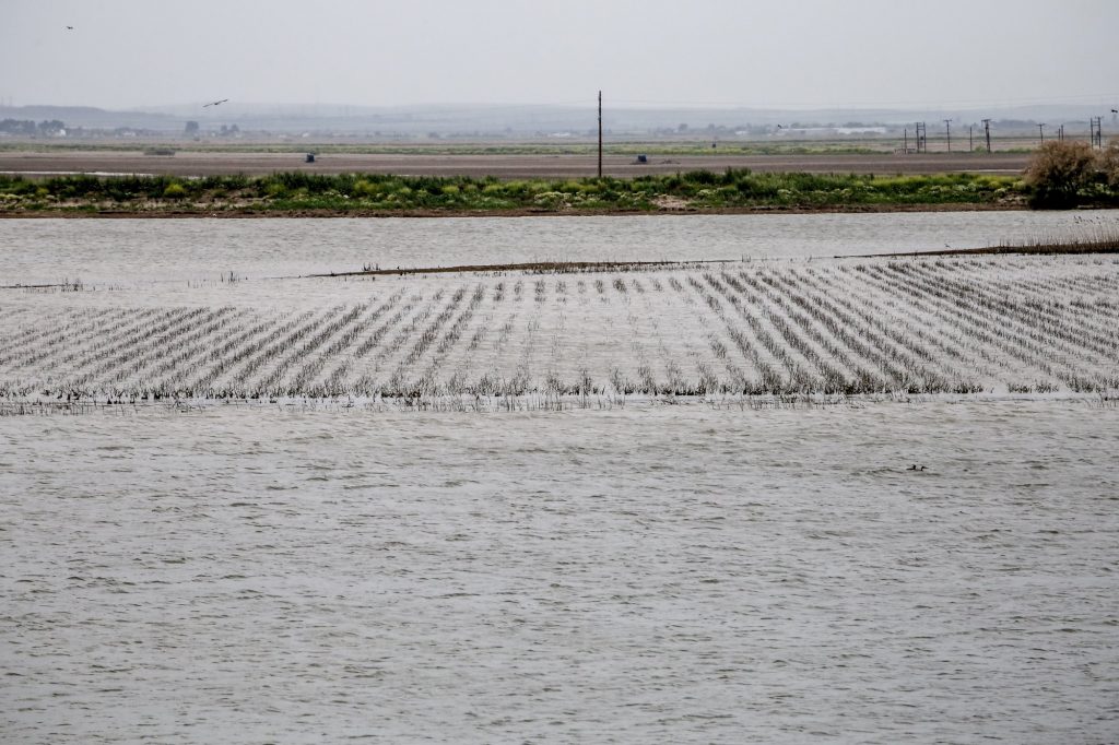 Πλημμυρισμένες αγροτικές εκτάσεις