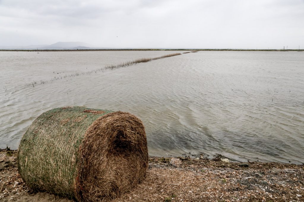 Το νερό κάλυψε γεωργικές εκτάσεις