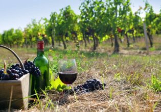 Κρασί: Το «προφίλ» των ΠΟΠ Γουμένισσα – Τα ιδιαίτερα χαρακτηριστικά