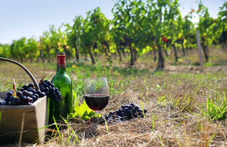 Κρασί: Το «προφίλ» των ΠΟΠ Γουμένισσα – Τα ιδιαίτερα χαρακτηριστικά