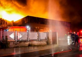 Λαμία: Τέλος τα σχολικά γεύματα από την εταιρεία που εμπλέκεται στην υπόθεση τροφικής δηλητηρίασης μαθητών