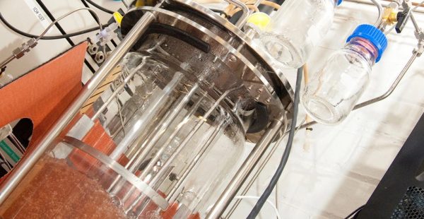 Πράσινη μετάβαση: Το βακτήριο που τρώει άνθρακα