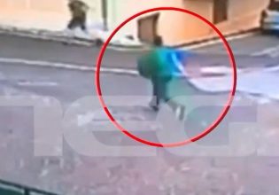 Ναύπακτος: Κατήγγειλε κακοποίηση ζώων και δέχεται απειλές – Επιτέθηκαν και με μολότοφ σπίτι του