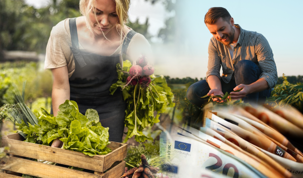 ΕΕ: Οι τάσεις και οι προοπτικές στον αγροτικό τομέα – Έκθεση της Κομισιόν