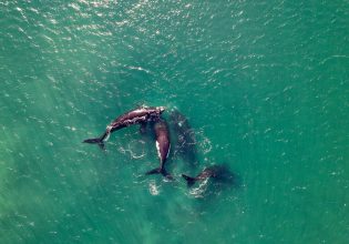 Μαρόκο: Όρκες επιτίθενται σε γιωτ και το βυθίζουν στο τελευταίο από μια σειρά σαμποτάζ