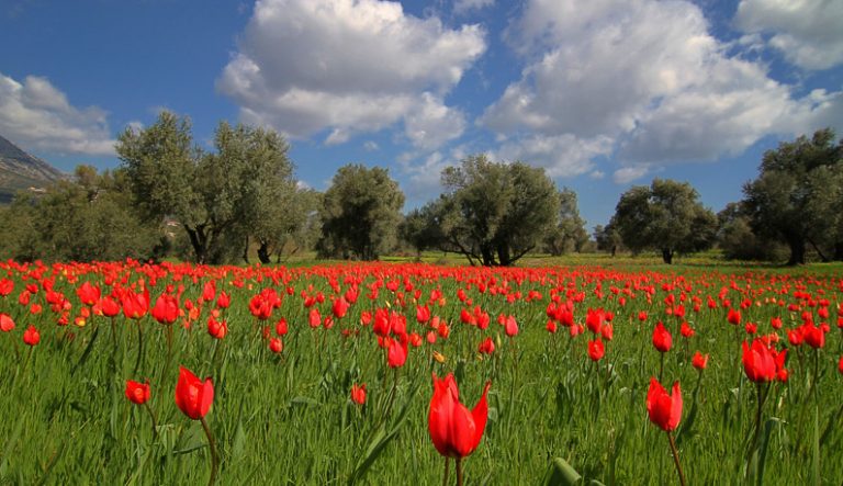 Πάσχα: Το εμβατήριο της χαράς