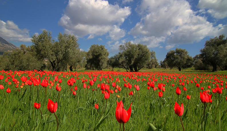 Πάσχα: Το εμβατήριο της χαράς