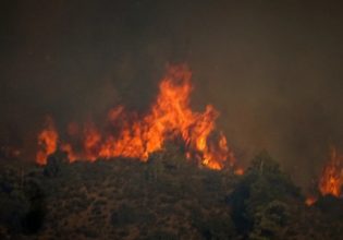 Πήλιο: Συναγερμός για πυρκαγιά κοντά στο χωριό Μούρεσι – Πνέουν δυνατοί άνεμοι