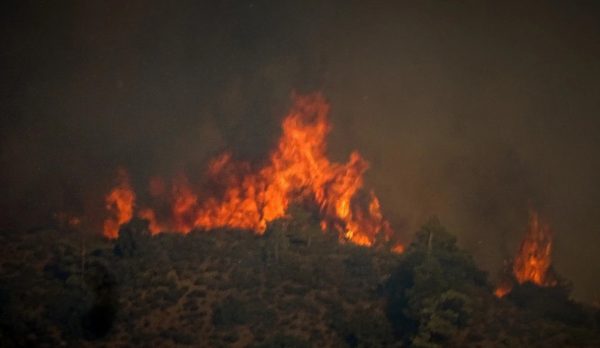Πήλιο: Συναγερμός για πυρκαγιά κοντά στο χωριό Μούρεσι – Πνέουν δυνατοί άνεμοι