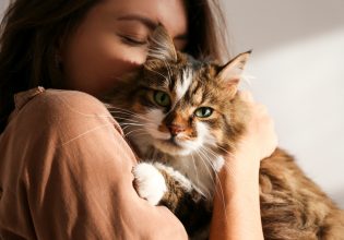 Κατοικίδια: Πώς «μιλούν» στην ψυχή μας