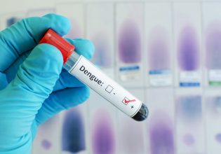 Σήμα κινδύνου για τον δάγκειο πυρετό στέλνει ο ΠΟΥ – Ξεκινά παγκόσμια επιτήρηση