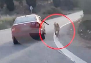 Ναύπλιο: Βίντεο με συνοδηγό ΙΧ να τρέχει το σκυλί του με λουρί έξω από το όχημα