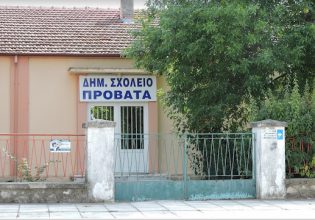 Σέρρες: Έπεσαν σοβάδες σε αίθουσα Δημοτικού Σχολείου – Από τύχη δεν σημειώθηκαν τραυματισμοί