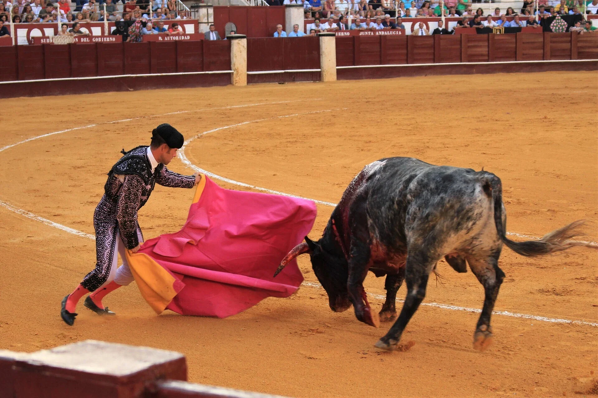 Ισπανία: Η κυβέρνηση καταργεί τα βραβεία ταυρομαχίας και προκαλεί αντιδράσεις