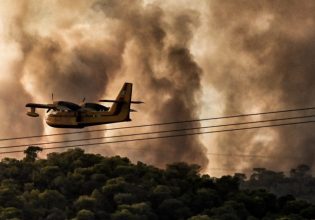 Αντιπυρική περίοδος: Ανησυχία για δασικές πυρκαγιές λόγω υψηλών θερμοκρασιών και άνυδρου χειμώνα