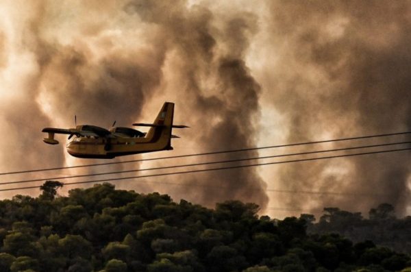 Αντιπυρική περίοδος: Ανησυχία για δασικές πυρκαγιές λόγω υψηλών θερμοκρασιών και άνυδρου χειμώνα