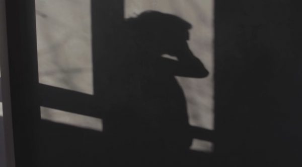 Χαλκίδα: Στο περιβάλλον της 62χρονης αυτός που την δολοφόνησε; – Τα νέα στοιχεία