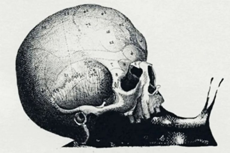 Τεστ προσωπικότητας: Μάθετε ποια δουλειά σας ταιριάζει «γάντι» ανάλογα με το τι βλέπετε πρώτο