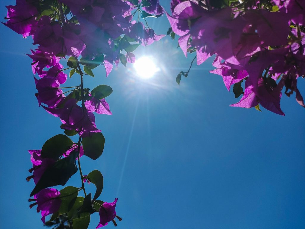 Καιρός: Έρχεται κύμα ζέστης ή βιαζόμαστε; – «Υπάρχουν μεγάλες αποκλίσεις»