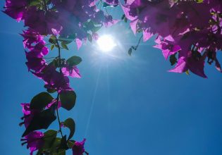 Καιρός: Έρχεται κύμα ζέστης ή βιαζόμαστε; – «Υπάρχουν μεγάλες αποκλίσεις»