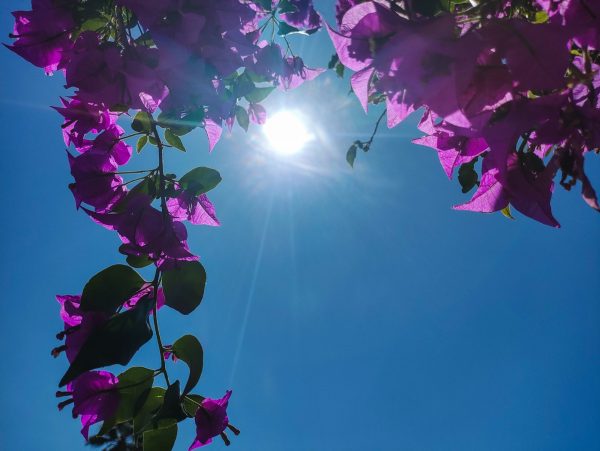 Καιρός: Έρχεται κύμα ζέστης ή βιαζόμαστε; – «Υπάρχουν μεγάλες αποκλίσεις»