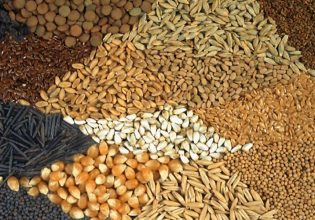 ΕΕ: Βήματα για την αύξηση των πρωτεϊνούχων ζωοτροφών – Δυνατότητες και ευκαιρίες