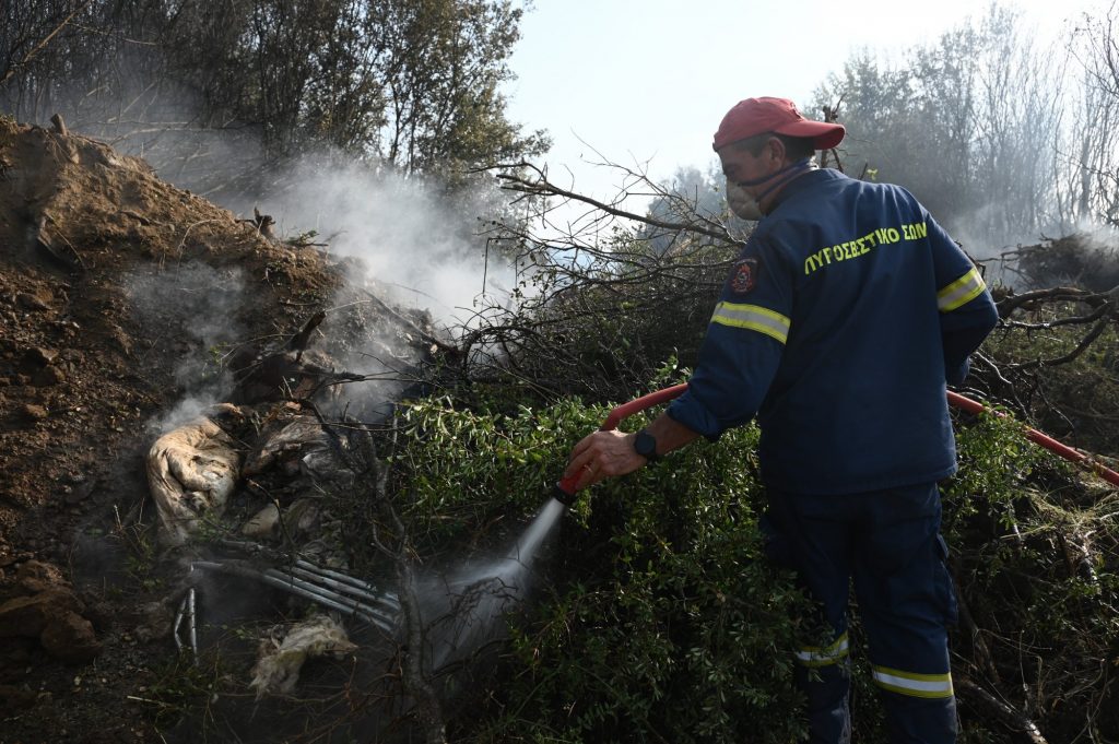 Φωτιά τώρα στη Βοιωτία: Επιχειρούν επίγειες και εναέριες δυνάμεις