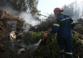 Φωτιά τώρα στη Βοιωτία: Επιχειρούν επίγειες και εναέριες δυνάμεις